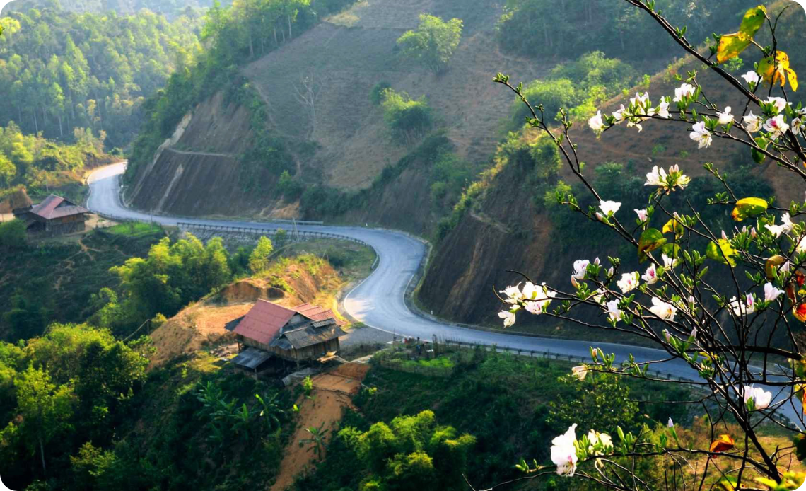 Une section du col de Pha Din au printemps lorsque la forêt est couverte de fleurs d'orchidées